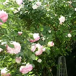 Le Clos Des Princes Bed and Breakfast