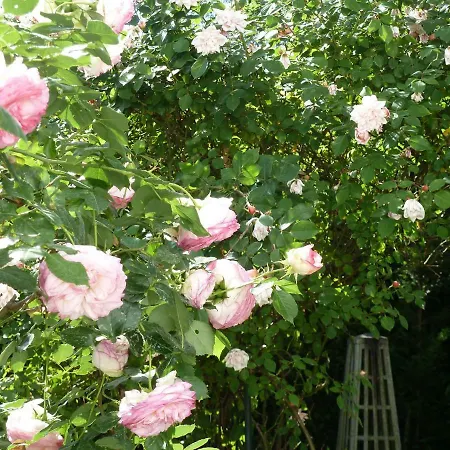 Le Clos Des Princes Frühstückspension